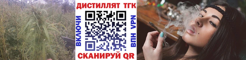 Купить где  Западная Двина  ТГК Wax 