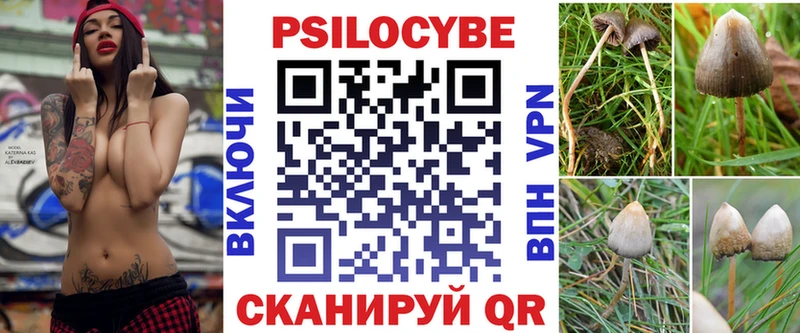 Купить где  Западная Двина  Псилоцибиновые грибы прущие грибы 